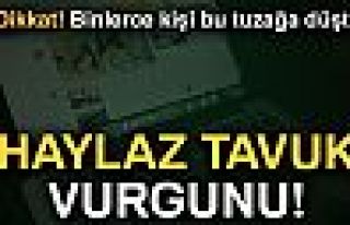 HAYLAZ TAVUK VURGUNU!