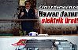 Hayvan damında elektrik üretti