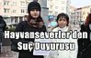 Hayvanseverler'den Suç Duyurusu