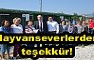 Hayvanseverlerden teşekkür!