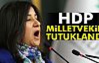 HDP Milletvekili Demirel tutuklandı