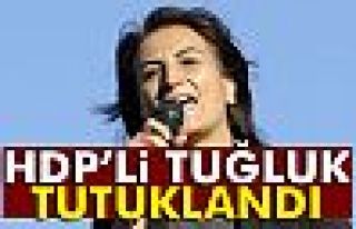 HDP’li Aysel Tuğluk tutuklandı