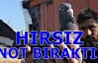 HIRSIZ NOT BIRAKTI!