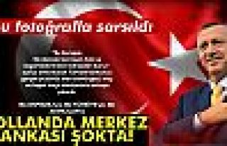 Hollanda Merkez Bankası Şokta!