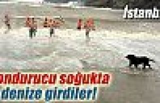 Hollandalılar dondurucu soğukta denize girdiler