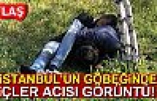 İÇLER ACISI MANZARA!