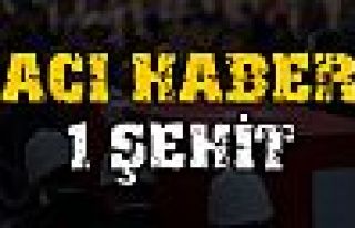 İdil'den acı haber: 1 şehit