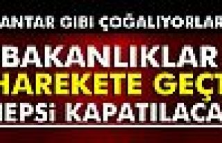 İki bakanlık harekete geçti! Kapatılacak