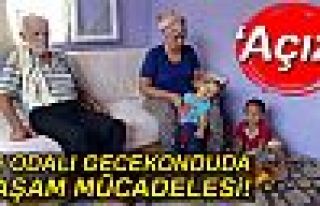 İki odalı gecekonduda hayat mücadelesi