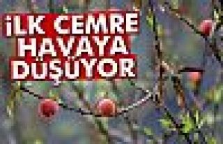 İLK CEMRE DÜŞÜYOR!