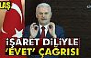 İŞARET DİLİYLE EVET ÇAĞRISI!