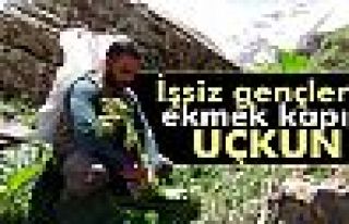 İşsiz gençlerin ekmek kapısı uçkun