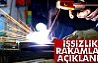 İşsizlik Ocak'ta Arttı