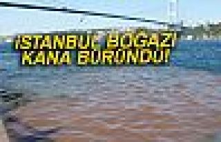 İSTANBUL BOĞAZI KANA BÜRÜNDÜ!