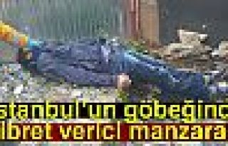 İstanbul’un Göbeğinde İbret Verici Manzara