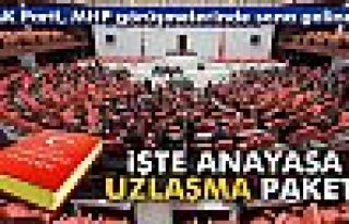 İşte Anayasa uzlaşma paketi