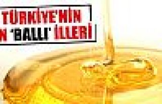 İşte en 'ballı' iller