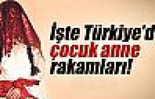 İşte Türkiye'de çocuk anne rakamları!