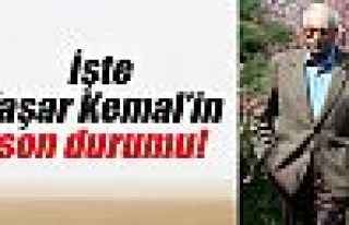 İşte Yaşar Kemal'in son durumu