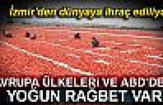 İZMİR'DEN DÜNYAYA İHRAÇ EDİLİYOR!