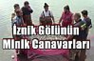 İznik Gölünün Minik Canavarları