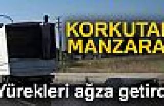 Kamyonda tehlikeli yolculuk!