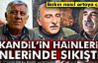 Kandil'in Ele Başları İnlerinde Sıkıştı!