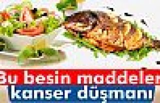 Kanser düşmanı besin maddeleri