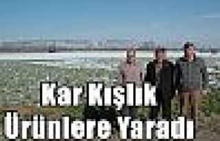 Kar Kışlık Ürünlere Yaradı