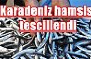 Karadeniz hamsisi tescillendi