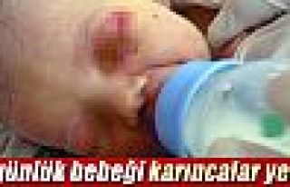 Karıncalar 3 günlük bebeği yedi