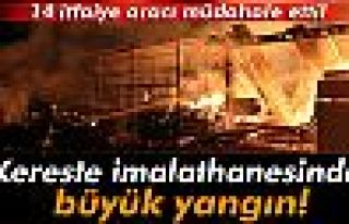 Kereste imalathanesinde büyük yangın!