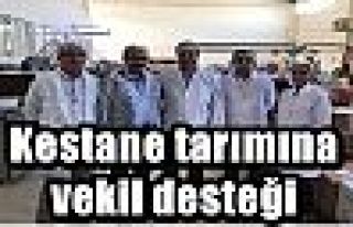 Kestane tarımına vekil desteği