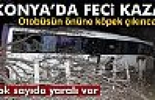 Konya’da Tur Otobüsü Kaza Yaptı: 15 Yaralı