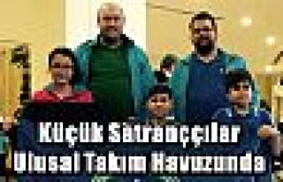 Küçük Satranççılar Ulusal Takım Havuzunda