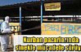 Kurban pazarlarında sinekle mücadele sürüyor