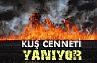 Kuş Cenneti yanıyor