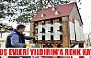 KUŞ EVLERİ YILDIRIM’A RENK KATTI