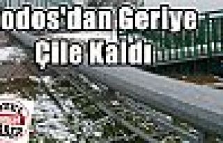 Lodos'dan Geriye Çile Kaldı