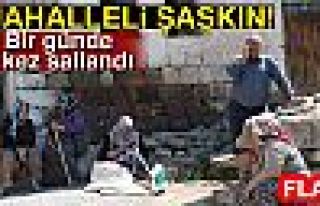 MAHALLELİ ŞAŞKIN!