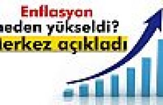 Merkez, enflasyonun neden yükseldiğini açıkladı