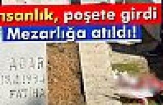 Mezarlıkta bebek cesedi bulundu