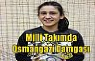 Milli Takımda Osmangazi Damgası