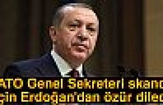 NATO ERDOĞAN'DAN ÖZÜR DİLEDİ!