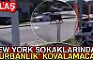 NEWYORK SOKAKLARINDA KURBANLIK KOVALAMACASI!