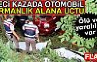 ORMANLIK ALANA UÇTU!