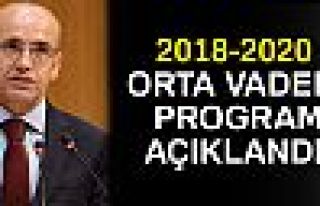 Orta Vadeli Program açıklandı