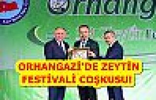 Orhangazi'de Zeytin Festivali Coşkusu!