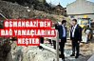 Osmangazi'den Dağ Yamaçlarına Neşter