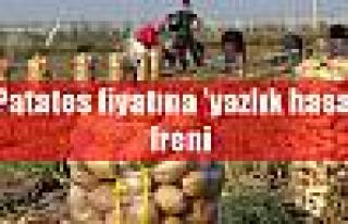 Patates fiyatına 'yazlık hasat' freni